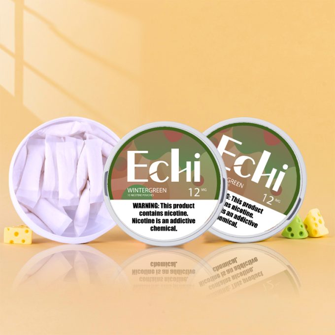 Echi Winter green Nicotine Pouches - Image 4
